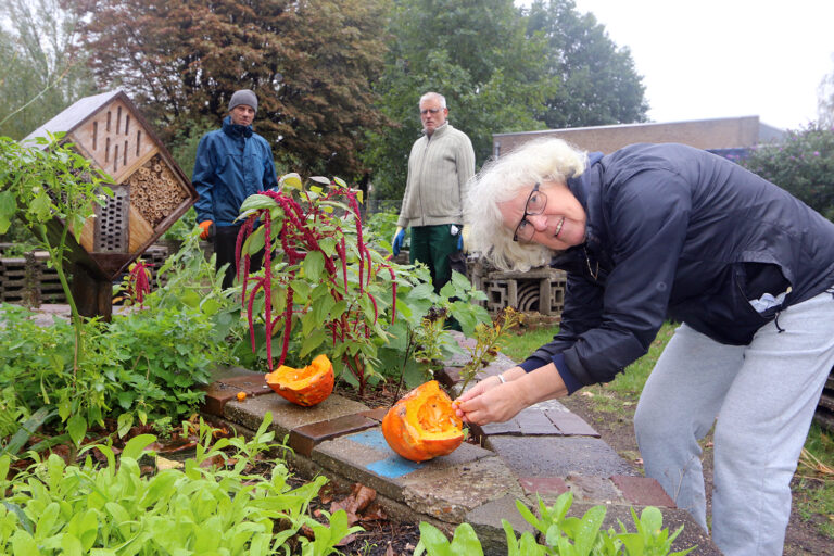 Reinda tuiniert in de buurttuin in Presikhaaf. Een plek waar buurtbewoners elkaar ontmoeten