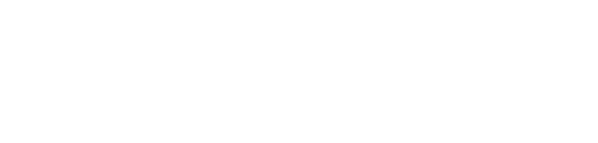 Stadskracht Arnhem Voor bewonersinitiatieven en vrijwilligersorganisaties